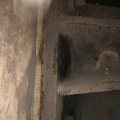 IMG_1696780