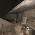 IMG_1696781