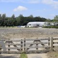 DSC048_19-07-2020