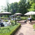 IMG_1703367