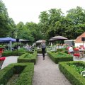 IMG_1703586