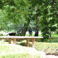 IMG_1704775