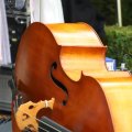 IMG_1704872