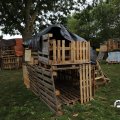IMG_1705417