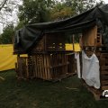 IMG_1705427