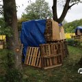 IMG_1705453