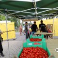 IMG_1705504