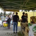 DSC003_27-08-2020