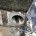 IMG_1715139