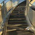 IMG_1715218