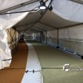 IMG_1715226