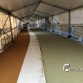 IMG_1715227