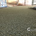 IMG_1715235