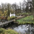 IMG_9118