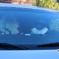 IMG_1716733