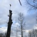 IMG_1718112