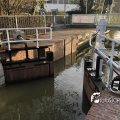 IMG_1718327