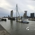 IMG_1722644