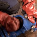 IMG_1722679