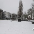 IMG_1723308