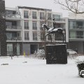IMG_1723315