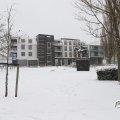 IMG_1723318