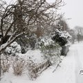IMG_1723323