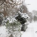 IMG_1723325