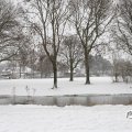 IMG_1723327