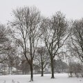 IMG_1723328