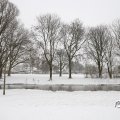 IMG_1723333