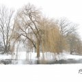 IMG_1723349