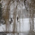 IMG_1723351