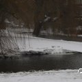 IMG_1723355
