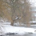 IMG_1723356