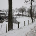 IMG_1723362