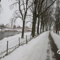 IMG_1723378