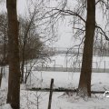IMG_1723394