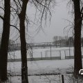 IMG_1723397