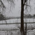 IMG_1723398