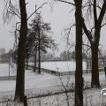 IMG_1723404