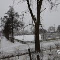 IMG_1723406