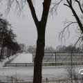 IMG_1723409