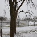IMG_1723411