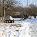 IMG_1724907
