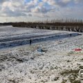 IMG_1724858