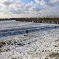 IMG_1724859
