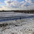 IMG_1724861