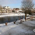 IMG_1724933