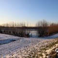 IMG_1725556